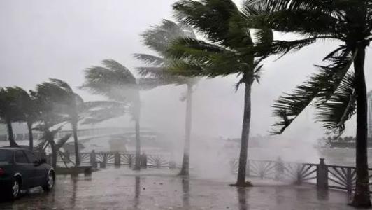 8月臺風(fēng)雨即將來，除濕機還得用起來