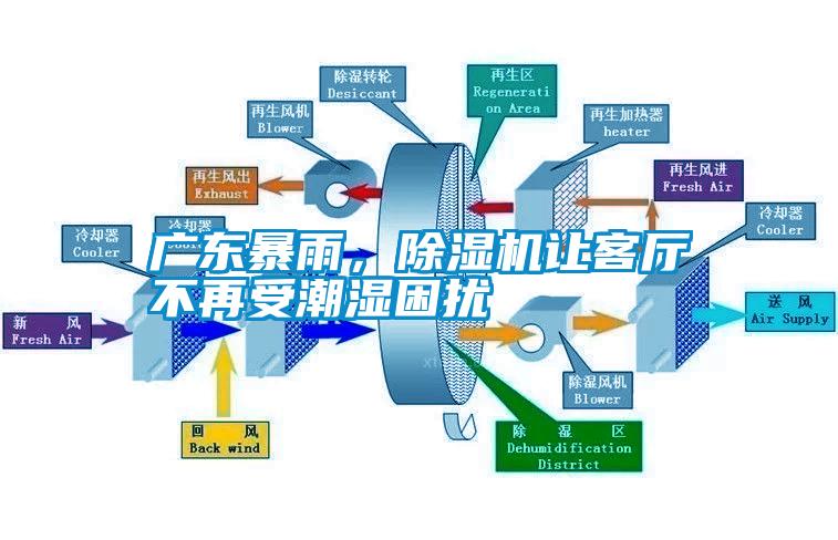 廣東暴雨，除濕機讓客廳不再受潮濕困擾