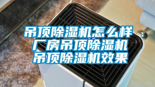 吊頂除濕機怎么樣 廠房吊頂除濕機 吊頂除濕機效果