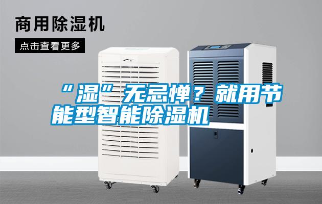 “濕”無忌憚？就用節(jié)能型智能除濕機