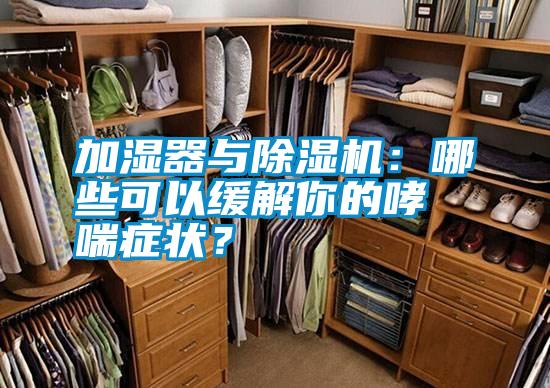 加濕器與除濕機：哪些可以緩解你的哮喘癥狀？