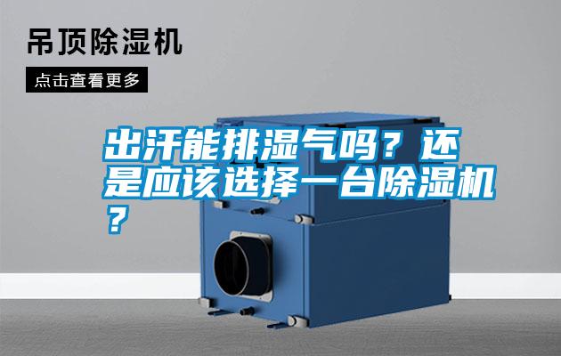 出汗能排濕氣嗎？還是應(yīng)該選擇一臺(tái)除濕機(jī)？