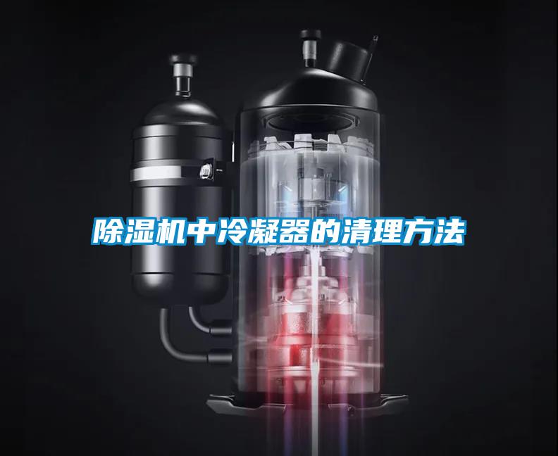 除濕機中冷凝器的清理方法