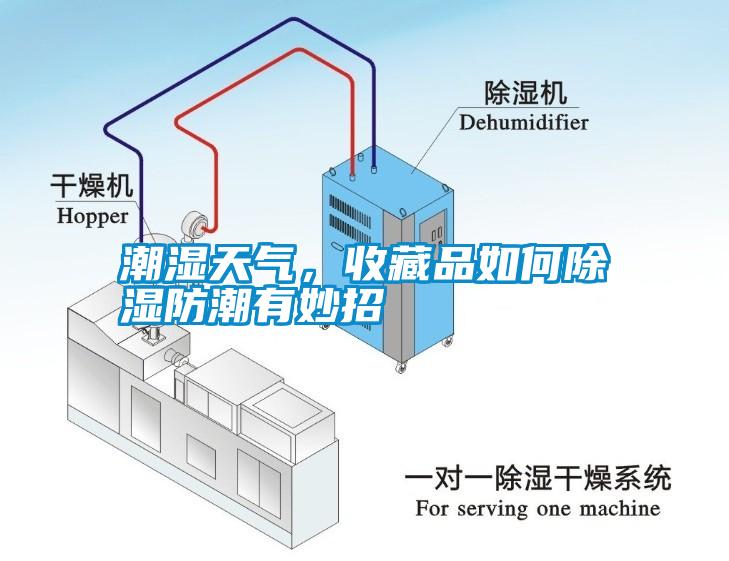 潮濕天氣，收藏品如何除濕防潮有妙招