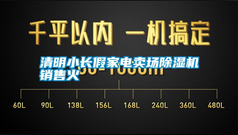 清明小長假家電賣場除濕機(jī)銷售火