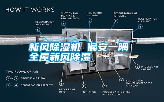 新風(fēng)除濕機 偏安一隅 全屋新風(fēng)除濕