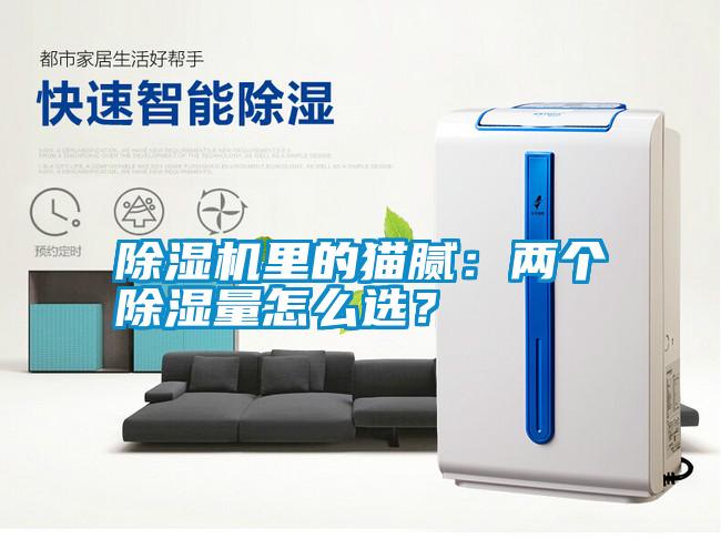 除濕機里的貓膩：兩個除濕量怎么選？