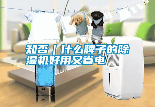 知否｜什么牌子的除濕機(jī)好用又省電