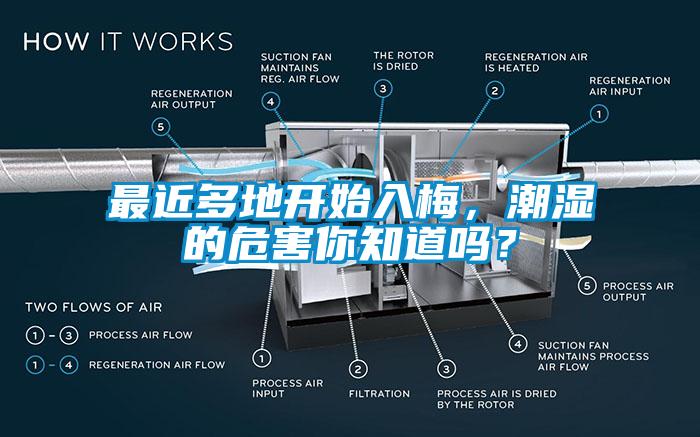 最近多地開始入梅，潮濕的危害你知道嗎？