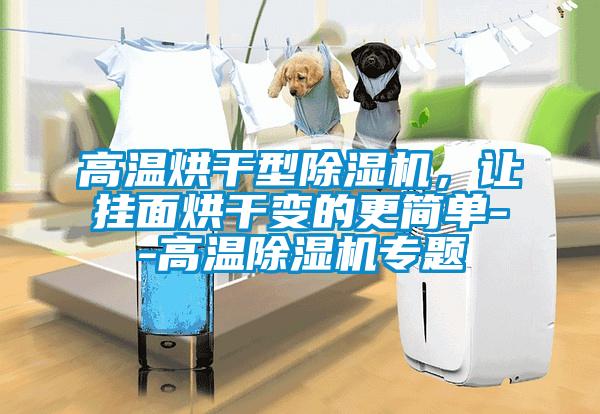 高溫烘干型除濕機，讓掛面烘干變的更簡單--高溫除濕機專題