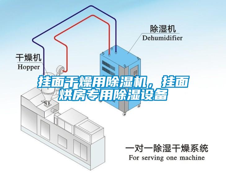 掛面干燥用除濕機(jī)，掛面烘房專用除濕設(shè)備