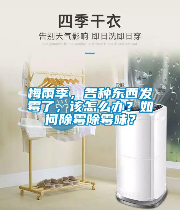 梅雨季，各種東西發(fā)霉了，該怎么辦？如何除霉除霉味？