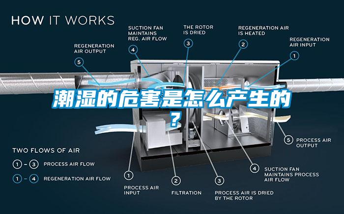 潮濕的危害是怎么產(chǎn)生的？