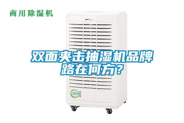 雙面夾擊抽濕機(jī)品牌路在何方？