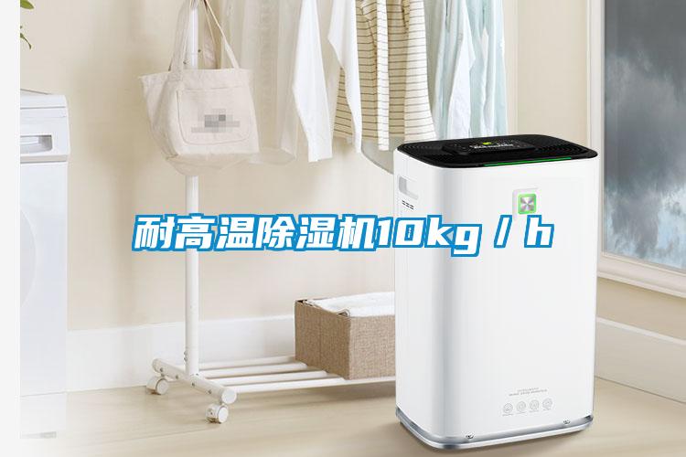 耐高溫除濕機(jī)10kg／h