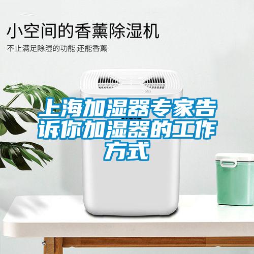 上海加濕器專家告訴你加濕器的工作方式