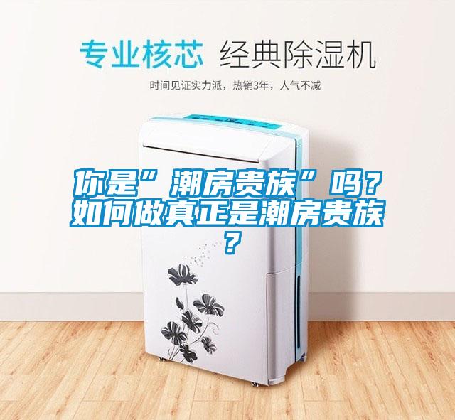 你是”潮房貴族”嗎？如何做真正是潮房貴族？