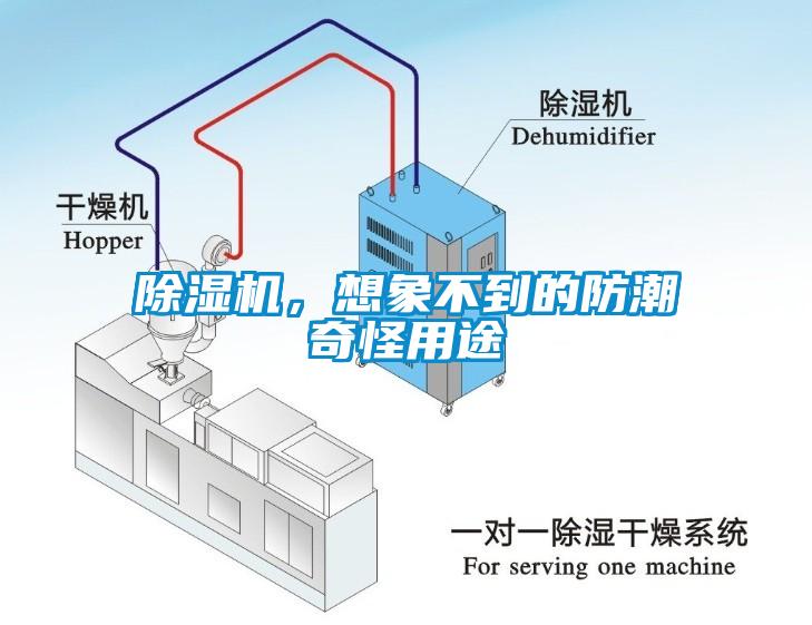 除濕機(jī)，想象不到的防潮奇怪用途