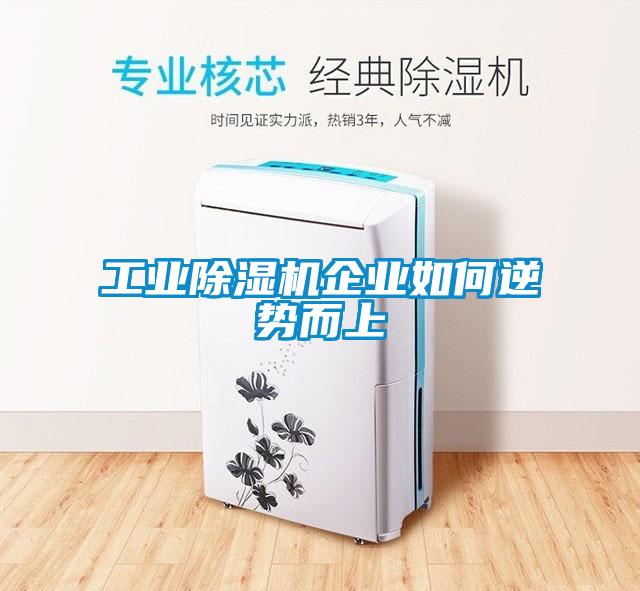 工業(yè)除濕機(jī)企業(yè)如何逆勢(shì)而上