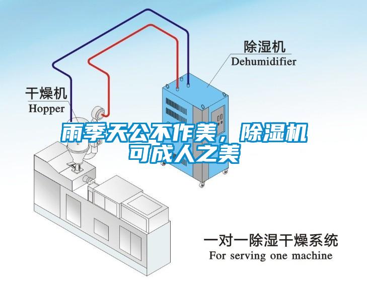 雨季天公不作美，除濕機可成人之美