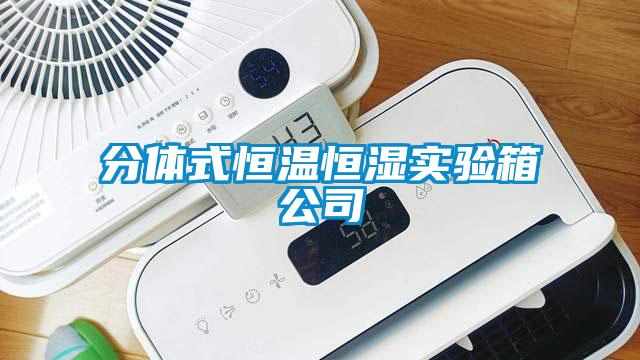 分體式恒溫恒濕實驗箱公司