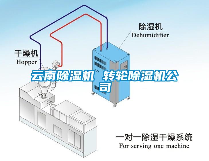 云南除濕機 轉(zhuǎn)輪除濕機公司