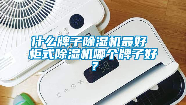 什么牌子除濕機最好 柜式除濕機哪個牌子好？