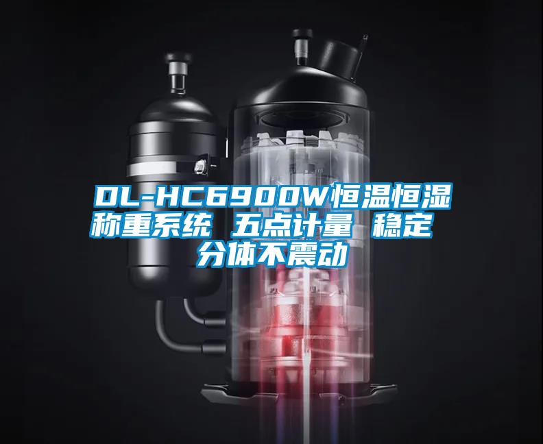 DL-HC6900W恒溫恒濕稱重系統(tǒng) 五點(diǎn)計(jì)量 穩(wěn)定 分體不震動