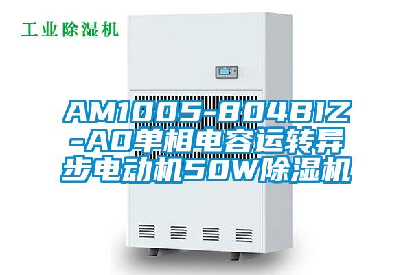 AM1005-804BIZ-A0單相電容運(yùn)轉(zhuǎn)異步電動機(jī)50W除濕機(jī)