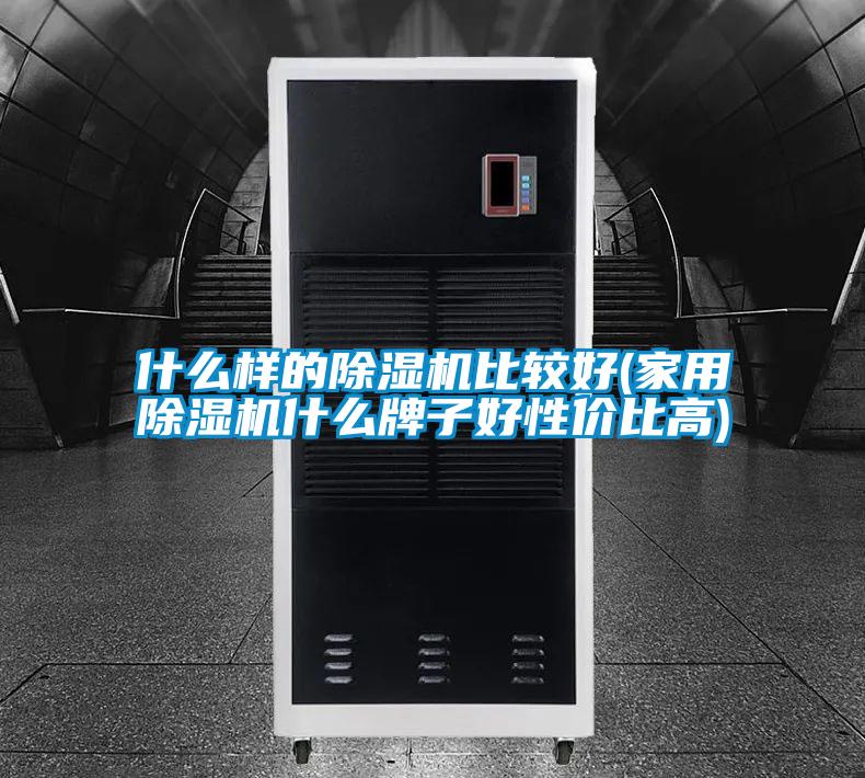 什么樣的除濕機比較好(家用除濕機什么牌子好性價比高)