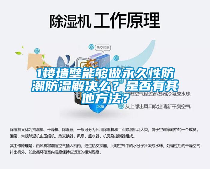 1樓墻壁能夠做永久性防潮防濕解決么？是否有其他方法？