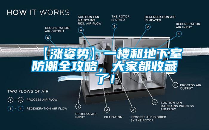 【漲姿勢】一樓和地下室防潮全攻略，大家都收藏了！