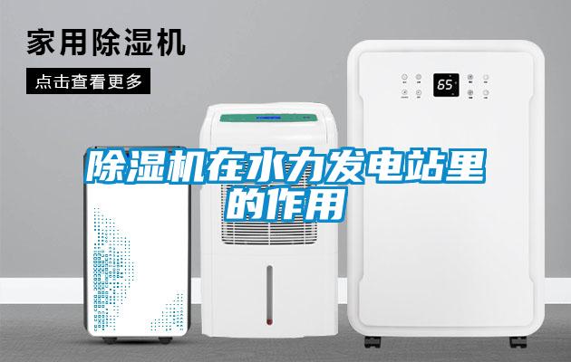 除濕機在水力發(fā)電站里的作用