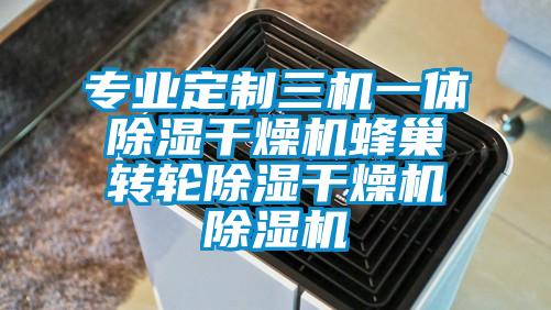 專業(yè)定制三機一體除濕干燥機蜂巢轉輪除濕干燥機除濕機