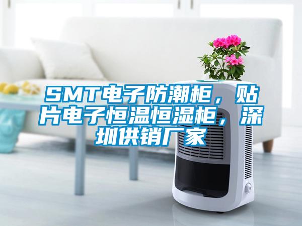 SMT電子防潮柜，貼片電子恒溫恒濕柜，深圳供銷廠家