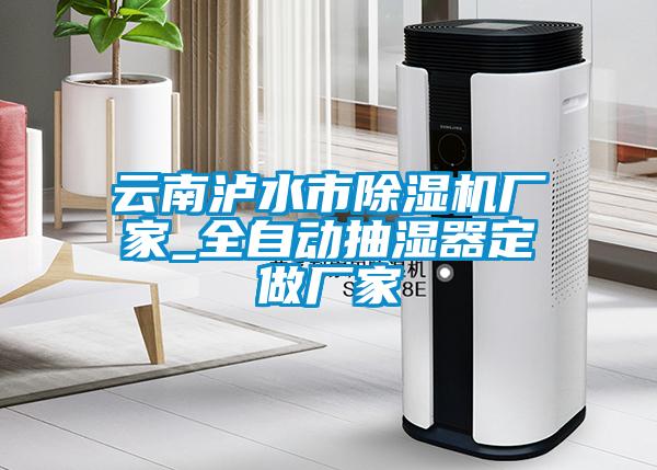 云南瀘水市除濕機廠家_全自動抽濕器定做廠家