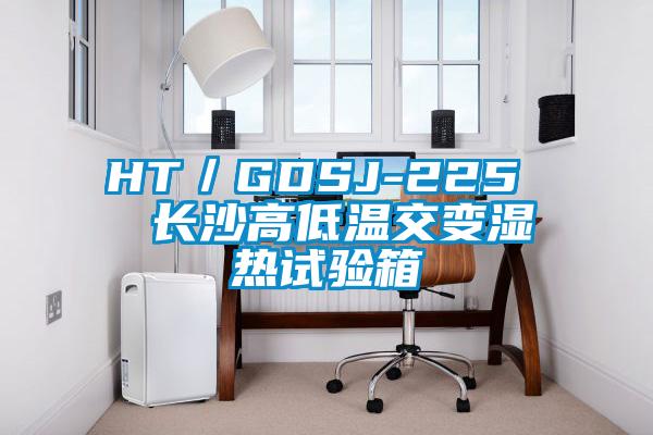 HT／GDSJ-225  長沙高低溫交變濕熱試驗箱