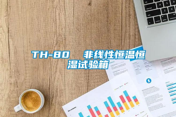 TH-80  非線性恒溫恒濕試驗(yàn)箱