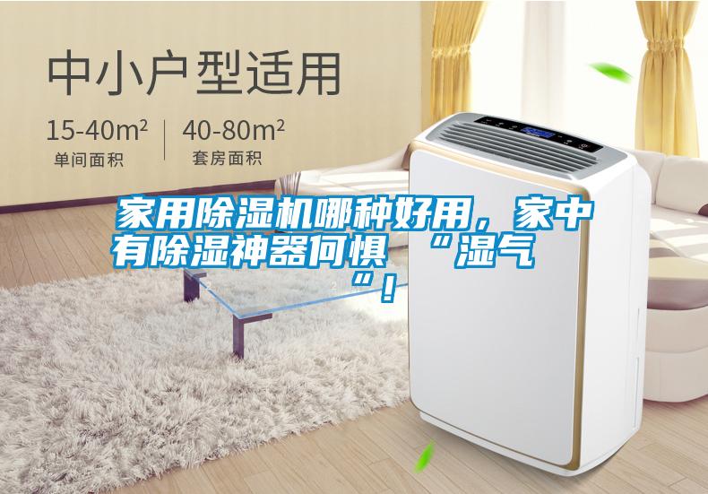 家用除濕機(jī)哪種好用，家中有除濕神器何懼 “濕氣 “！