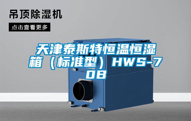 天津泰斯特恒溫恒濕箱（標準型）HWS-70B