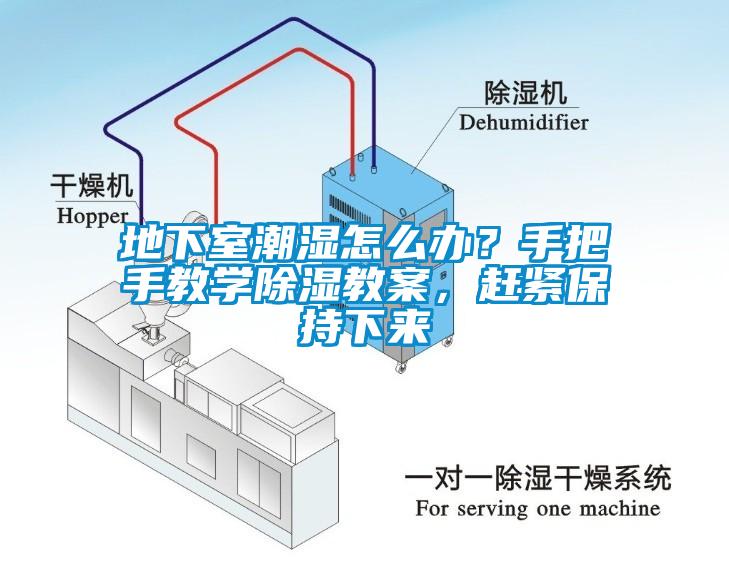 地下室潮濕怎么辦？手把手教學(xué)除濕教案，趕緊保持下來