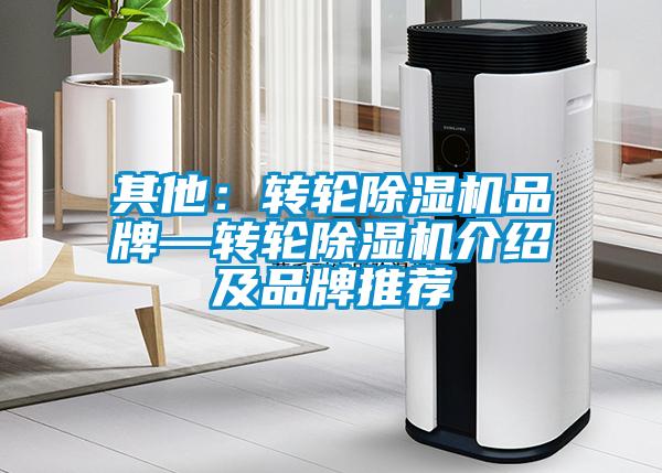 其他：轉(zhuǎn)輪除濕機品牌—轉(zhuǎn)輪除濕機介紹及品牌推薦