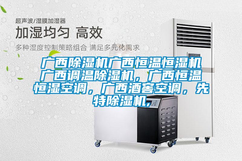 廣西除濕機廣西恒溫恒濕機廣西調溫除濕機，廣西恒溫恒濕空調，廣西酒窖空調，先特除濕機,