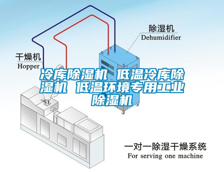 冷庫除濕機 低溫冷庫除濕機 低溫環(huán)境專用工業(yè)除濕機