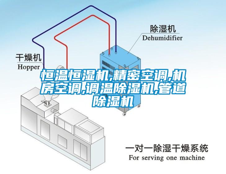 恒溫恒濕機,精密空調(diào),機房空調(diào),調(diào)溫除濕機,管道除濕機