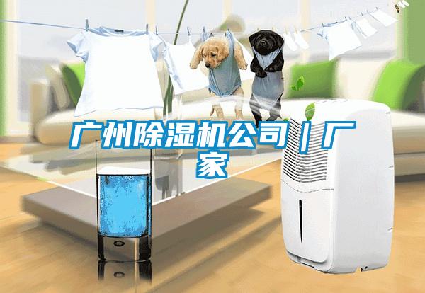 廣州除濕機公司｜廠家