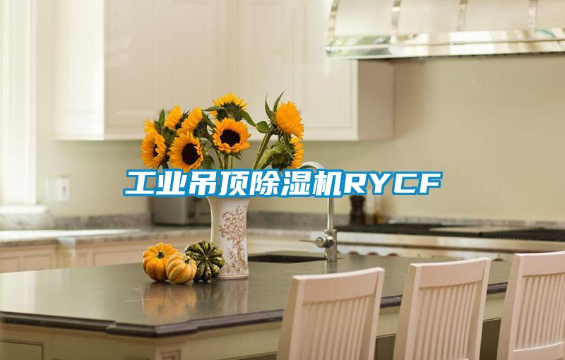 工業(yè)吊頂除濕機RYCF