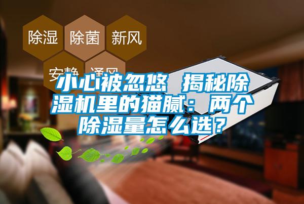 小心被忽悠 揭秘除濕機里的貓膩：兩個除濕量怎么選？