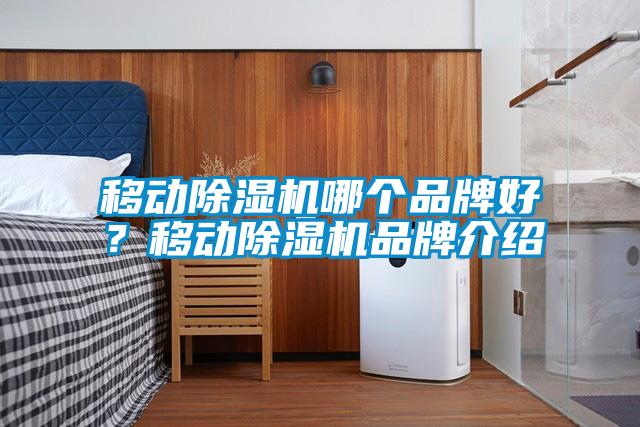 移動除濕機哪個品牌好？移動除濕機品牌介紹