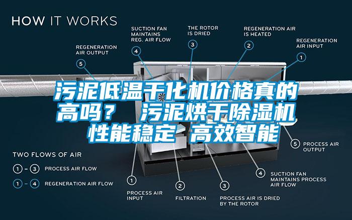 污泥低溫干化機價格真的高嗎？ 污泥烘干除濕機 性能穩(wěn)定 高效智能